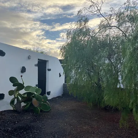 Chloe فيلة بلايا بلانكا